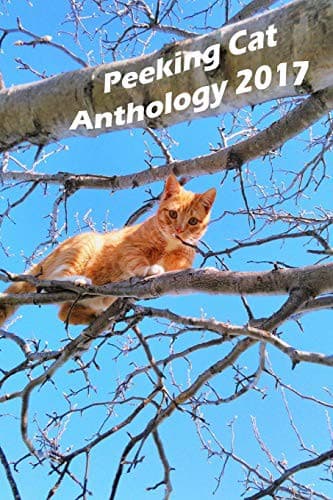 Cover image for Peeking Cat Anthology 2017