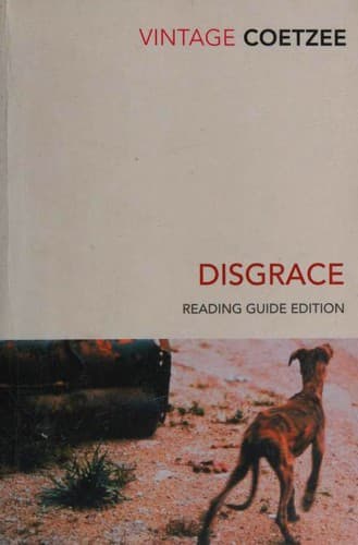 Cover image for Disgrace