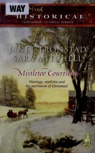 Cover image for Mistletoe Courtship