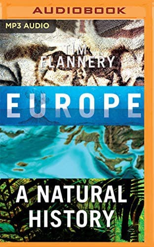 Cover image for Europe