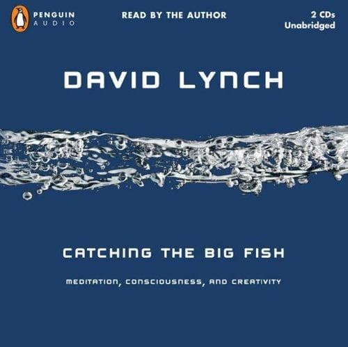 Cover image for Catching the Big Fish