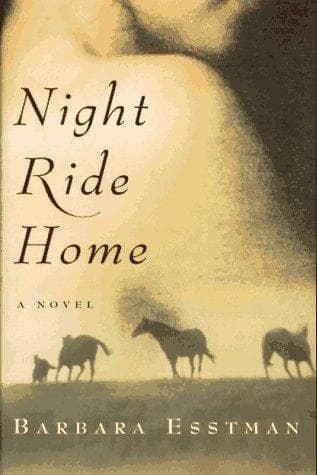 Cover image for Night ride home