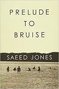 Cover image for Prelude to bruise