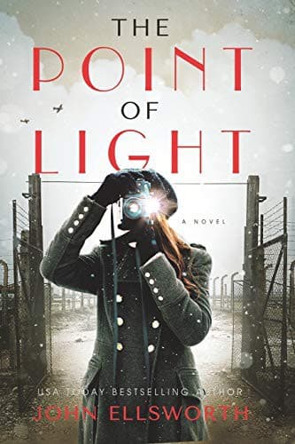 Cover image for The Point of Light