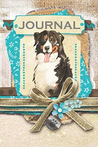 Cover image for Journal