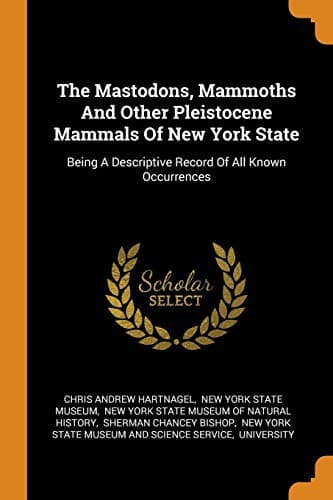 Cover image for The Mastodons, Mammoths And Other Pleistocene Mammals Of New York State