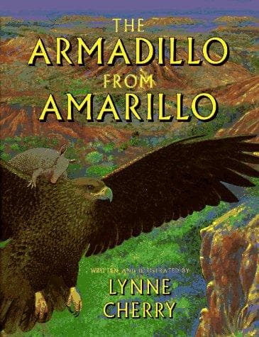 Cover image for The armadillo from Amarillo