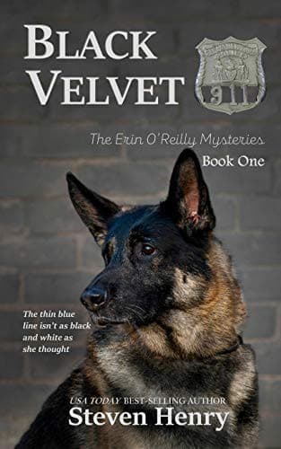 Cover image for Black Velvet