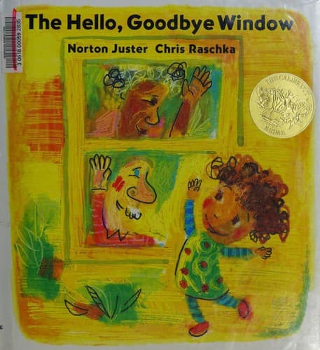 Cover image for The Hello, Goodbye Window