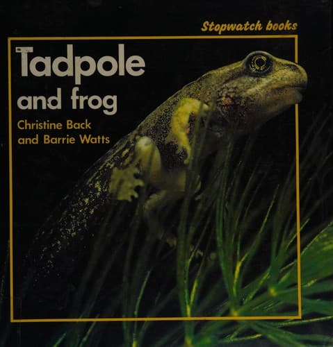 Cover image for Tadpole and frog