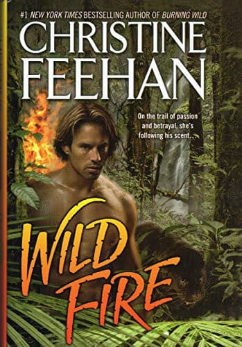 Cover image for Wild fire