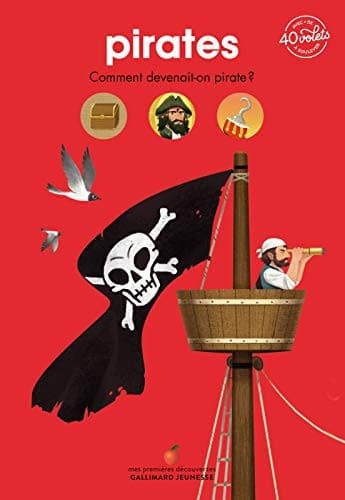 Cover image for Pirates