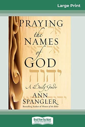 Cover image for Praying the Names of God
