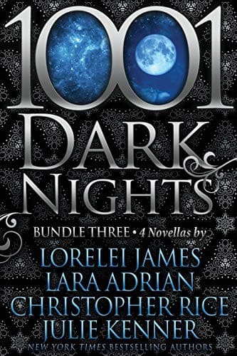 Cover image for 1001 Dark Nights