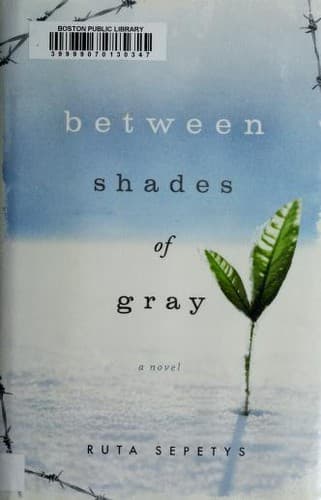 Cover image for Between shades of gray