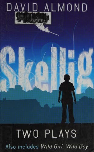 Cover image for Two plays