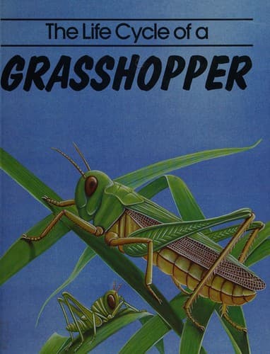 Cover image for The life cycle of a grasshopper.