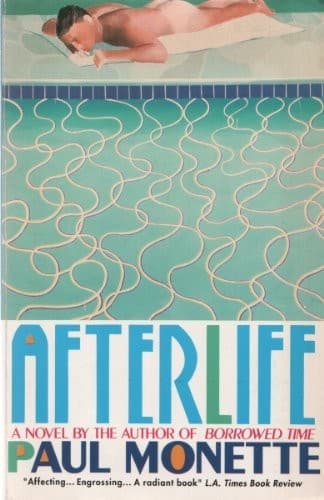 Cover image for Afterlife