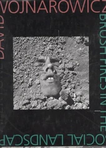 Cover image for David Wojnarowicz