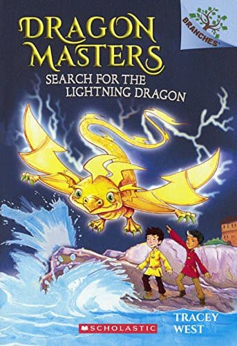 Cover image for Search for the Lightning Dragon
