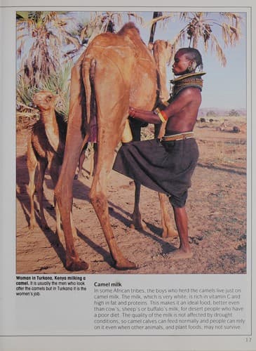 Cover image for Food for the world