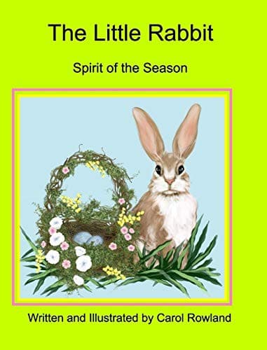 Cover image for Little Rabbit