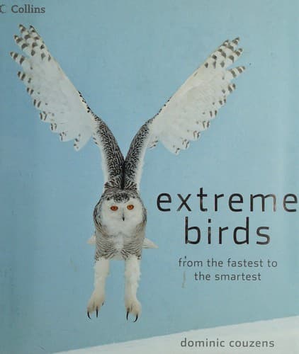 Cover image for Extreme birds
