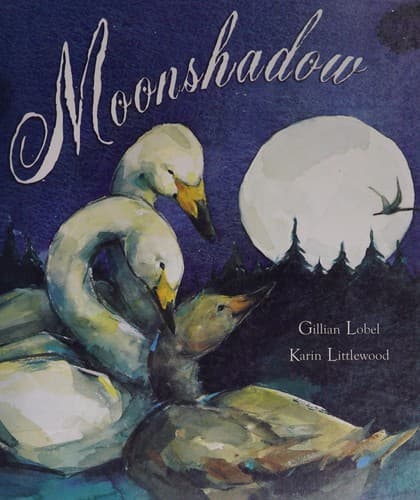 Cover image for Moonshadow