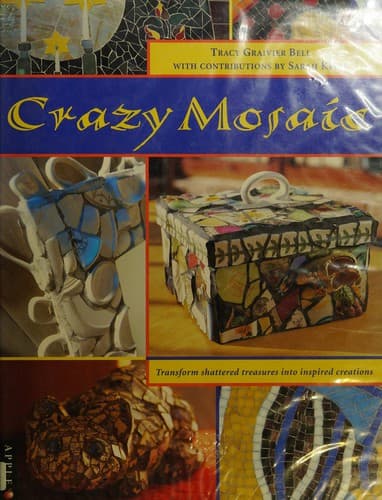 Cover image for Crazy mosaic