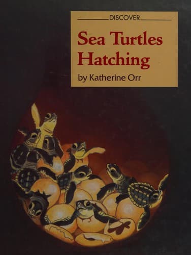 Cover image for Sea turtles hatching
