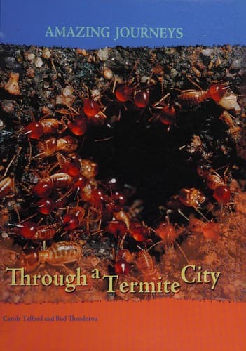 Cover image for Through a termite city