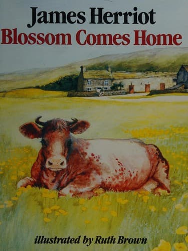 Cover image for Blossom comes home