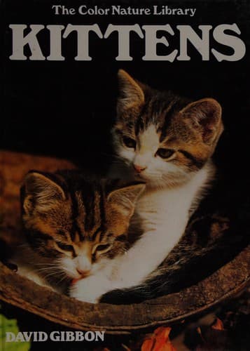 Cover image for Kittens