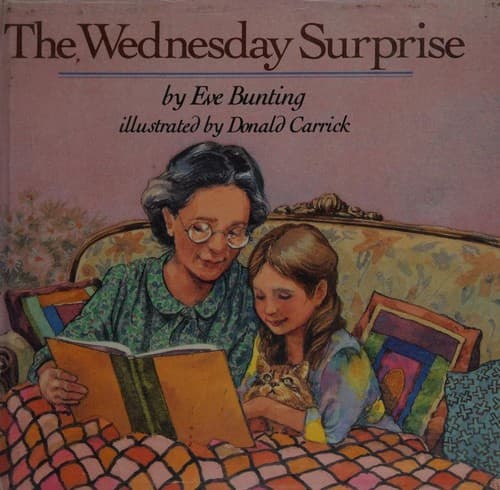 Cover image for The Wednesday surprise