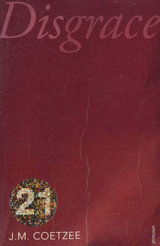 Cover image for Disgrace