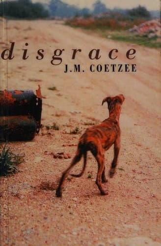 Cover image for Disgrace
