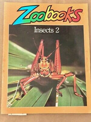 Cover image for Insects 2