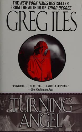 Cover image for Turning angel