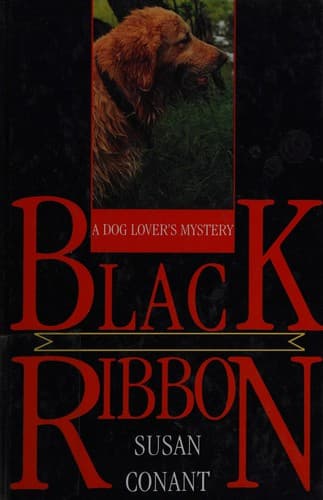 Cover image for Black ribbon