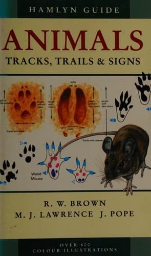 Animals, tracks, trails and signs