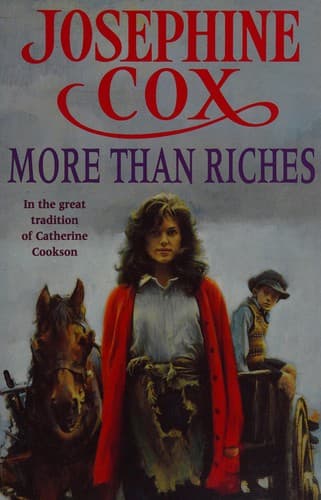 Cover image for More than riches