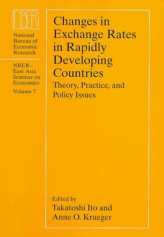 Cover image for Changes in Exchange Rates in Rapidly Developing Countries