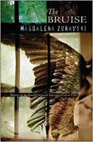 Cover image for The bruise