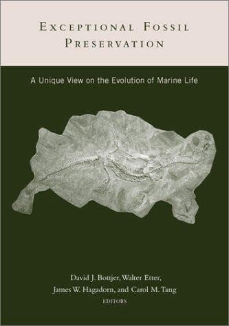 Cover image for Exceptional Fossil Preservation