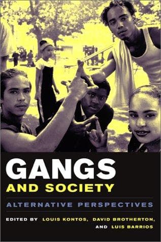 Cover image for Gangs and Society