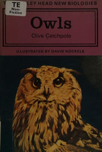 Cover image for Owls