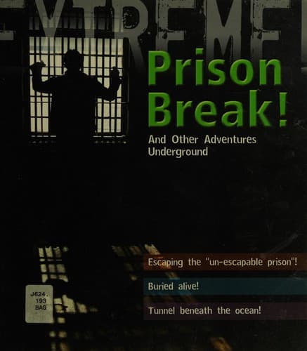 Cover image for Prison break!