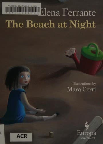 Cover image for The beach at night