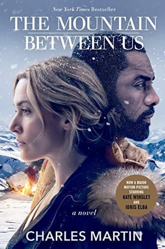 Cover image for The Mountain Between Us