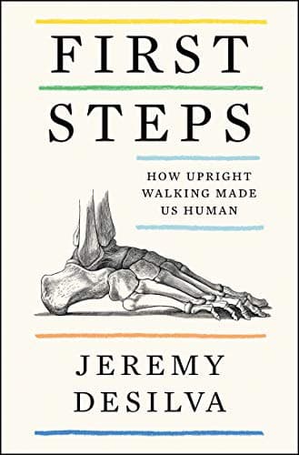 Cover image for First Steps